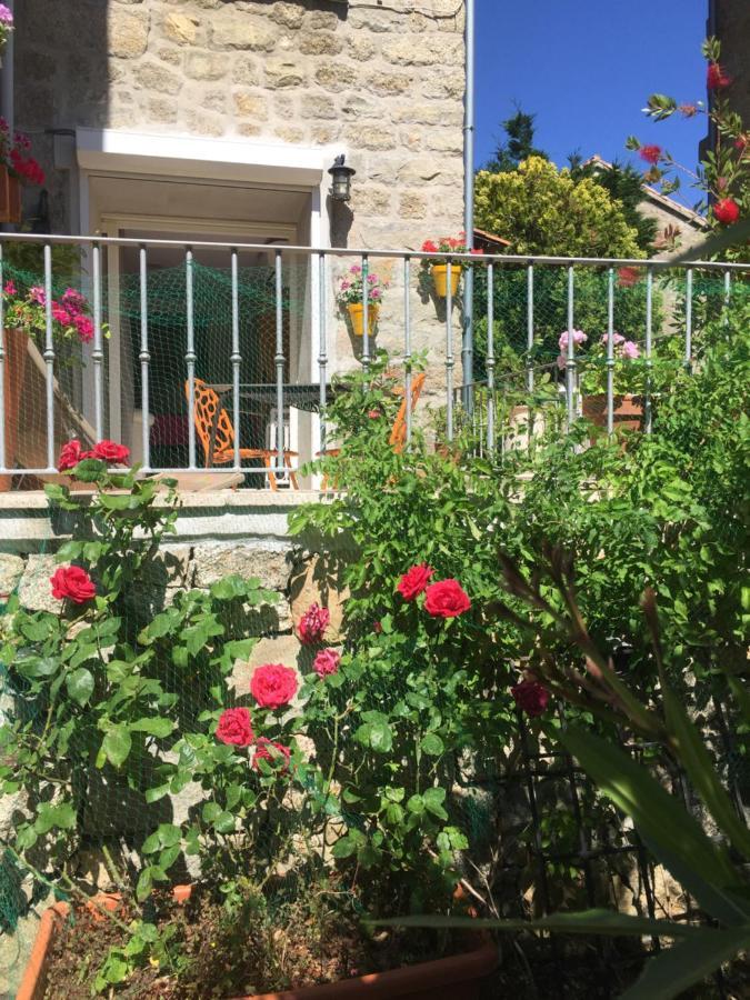 Maison de Vacances - Casa Mezanaccia avec Terrasse fleurie Santa-Lucia-di-Tallano Extérieur photo