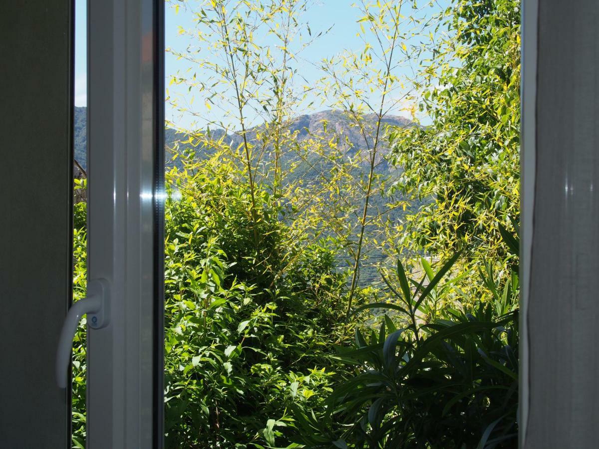 Maison de Vacances - Casa Mezanaccia avec Terrasse fleurie Santa-Lucia-di-Tallano Extérieur photo